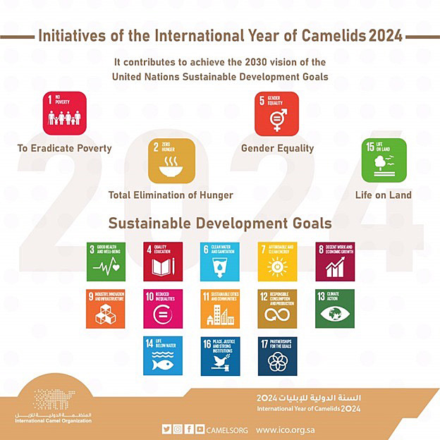 UN announces 2024 as International Year of Camelids League for